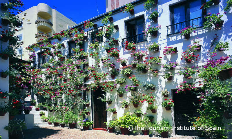 spain-007