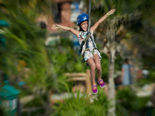 zipline